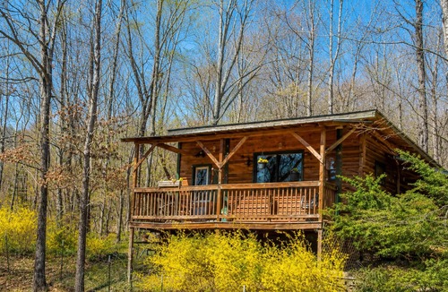 Wildwood Cabin | Private Farm Guesthouse Near Chattanooga & Lookout Mountain. Pet Friendly!