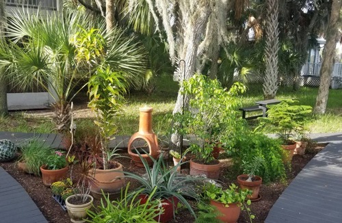 Homosassa Cabin | Private Gazebo on an Island with boat transportation to/from and meals provided.