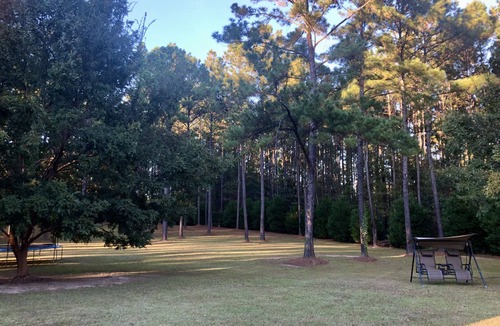 Thomasville Cottage | Private Quiet Neighborhood