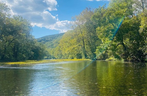 Eagle Rock Cabin | Private Waterfront Retreat on Craig's Creek