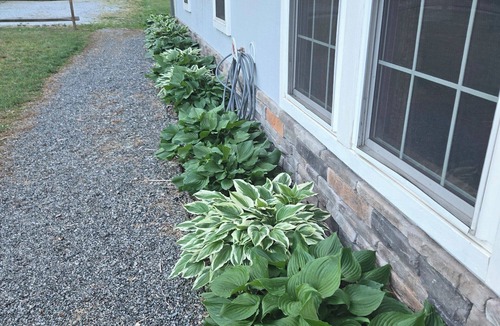 Hendersonville House | Quiet 3 Bedroom home surrounded by mountains in Hendersonville NC