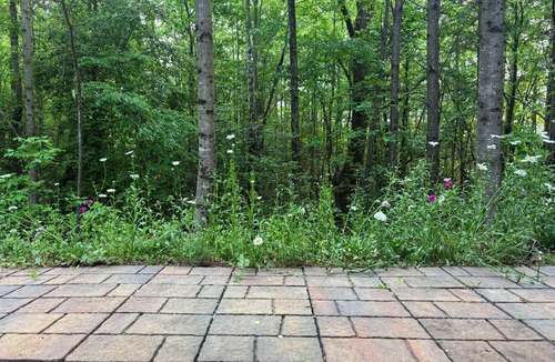 Buford House | Quiet, Cozy Bedroom + Living Room in Buford with AC