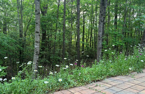 Buford House | Quiet, Cozy Bedroom + Living Room in Buford with AC