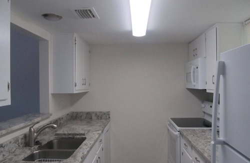 Dunedin Condo | Relax and enjoy life at our updated Dolphin Point Condo in Dunedin
