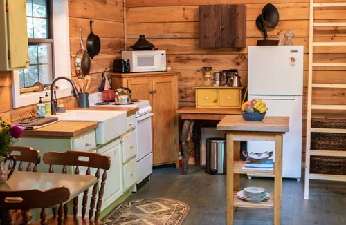 Clayton Cabin | Remote cabin with creek and waterfall views 10 min from town