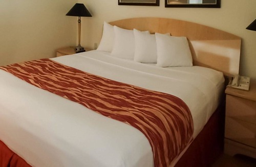 South Miami Hotel | Rodeway Inn South Miami Coral Gables