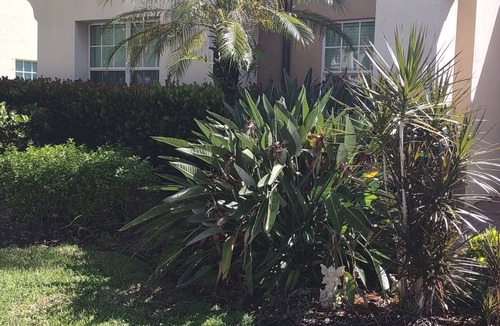 Parkland Bed & Breakfast | Room for rent