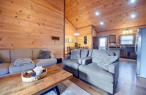 Copperhill Cabin | Rustic Moose- Hot Tub, Pets OK, Pool Table, Wifi, Views-Close to Ocoee River