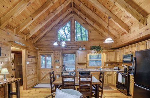 Blue Ridge Cabin | Rustic Nest - Quaint, cozy, dog friendly, hot tub