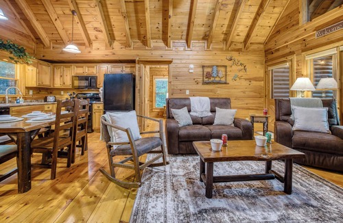 Blue Ridge Cabin | Rustic Nest - Quaint, cozy, dog friendly, hot tub