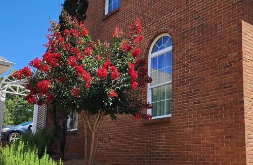Douglasville House | Saba House -Pool, King Bed, Grill, WiFi, Parking
