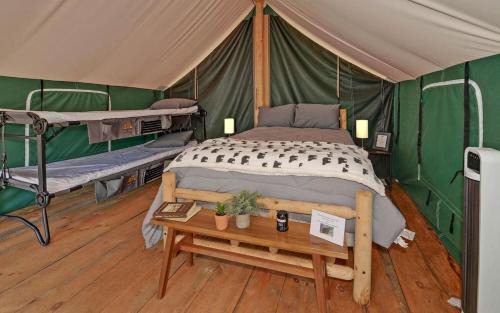 Suches Other | Safari Tent Bliss for You and Your Best Friend: Pet-Friendly Glamping in Suches, Georgia