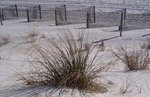 Miramar Beach Condo | Sandprints, Sea and Sunshine