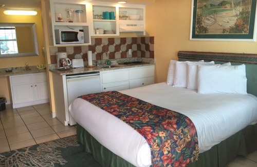 East Daytona House | Sea Shells Beach Club #109 Apartment