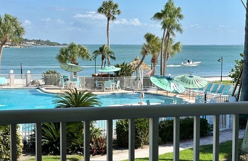 Pinellas Point Hotel | Seaside Serenity | Luxe Group Relaxation & Adventure Experience | 2 Units