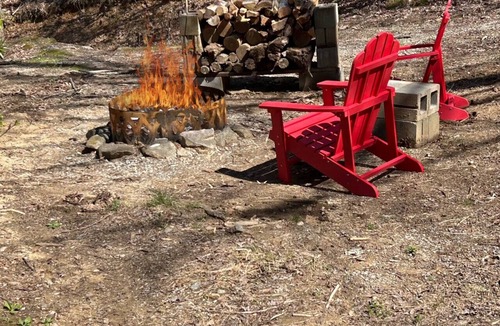 Turtletown Cabin | Secluded 1BR Cabin with Hot Tub, Wifi and Private Koi Pond