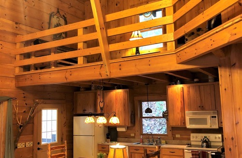 Robbinsville Cabin | Secluded 4BR Real Log Cabin, Dog+Biker Friendly, Hot Tub WiFi Sleeps 10 Privacy!