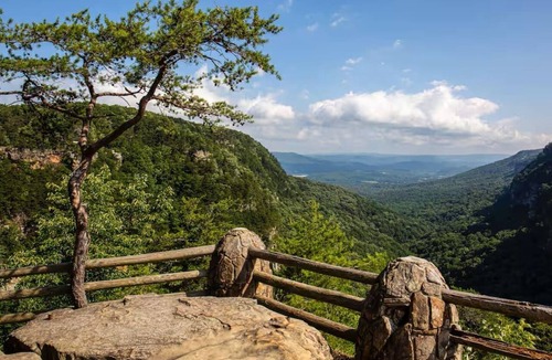 Mentone Cabin | Secluded Cabin | Games, Fire Pit, Hot Tub, Pet OK