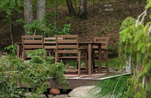Skytop Cabin | Secluded Cabin Retreat on 6 Acres w/Fireplace, Trails, Creek & Record Player