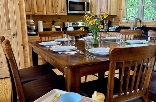 Black Mountain Cabin | Secluded Log Cabin w/Mountain Views, Hot Tub, Cold Plunge, Fire Pit