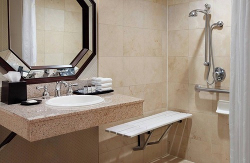 Paw Creek Hotel | Sheraton Charlotte Airport Hotel