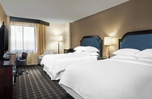 Paw Creek Hotel | Sheraton Charlotte Airport Hotel