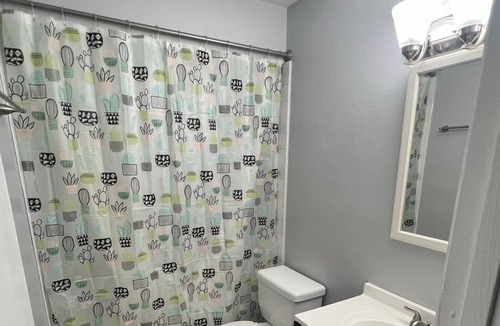 Ballast Point Apartment | South Tampa Mac Dill AFB/ Bayshore/ Pets OK! - 6908A