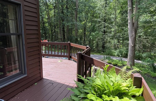 Downingtown House | Spacious 1-bedroom suite surrounded by nature in charming Downingtown.