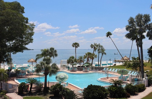 Pinellas Point House | Splash and Relax! Private Beach, Onsite Pool, Pet-friendly Accommodation