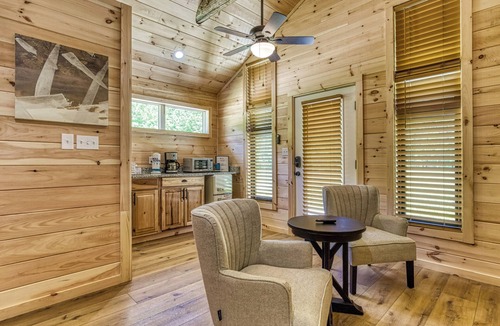 Cosby Cottage | Stary Night- Pickleball Court, Creek, WIFI, Mountain Views, Starting at $50