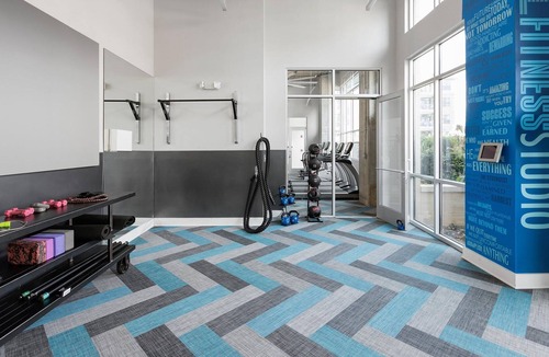 Charlotte Condo | StaysByWalker SouthEnd Studio On Light Rail!