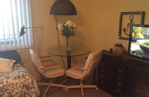 South Ponte Vedra Beach Apartment | Studio apartment located a few steps from the Atlantic Ocean with fantastic view