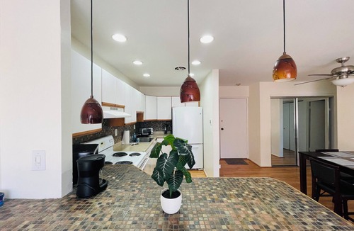 Elkins Park Apartment | Stylish 1BR | Moss Rehab | Monthly Deals