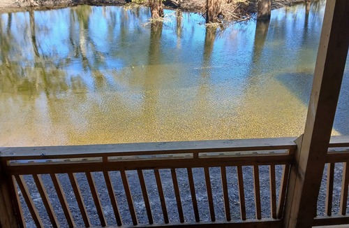 Mayo Resort | Suite A on Convict Springs