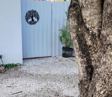 North Miami Beach House | Suite Life at Chez Mercedes