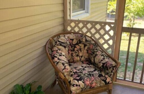 Belvedere Park House | Sunny 2 bedroom cottage minutes from downtown!