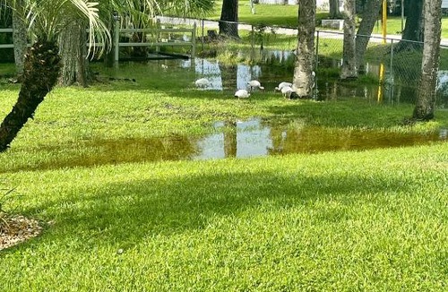 Laurel House | Sunny Oasis Getaway -Heated Pool-Mini Golf-Near Beach