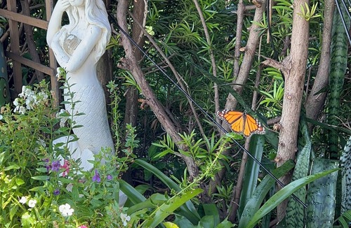 Deerfield Beach House | Swim with Butterflies! Heat Pool, Butterfly Garden, Screened Patio, Native Birds