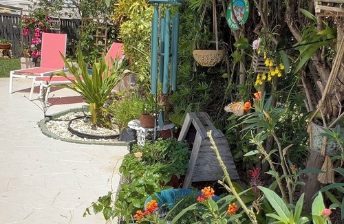 Deerfield Beach House | Swim with Butterflies! Heat Pool, Butterfly Garden, Screened Patio, Native Birds