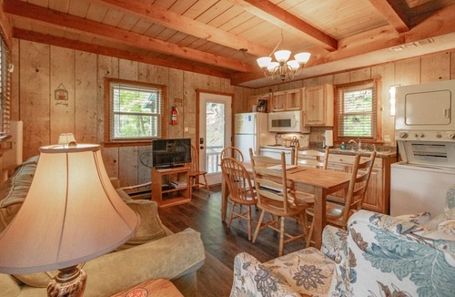 Blowing Rock Cabin | Swiss Mountain Village