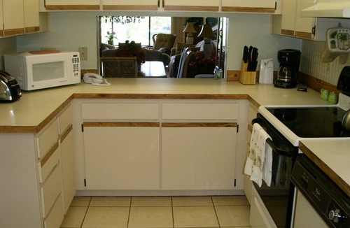 Palm Harbor Condo | Tarpon Woods Condo with Lake View
