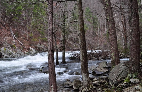 Tellico Plains Cabin | Tellico cabins, Deer Cabin With Hot Tub