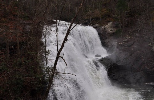 Tellico Plains Cabin | Tellico cabins, Deer Cabin With Hot Tub