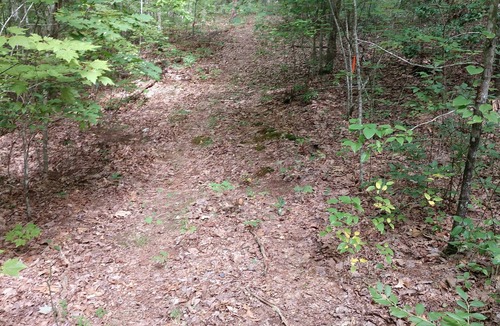 Graysville RV Rental | Tent Camp - Perfect campground just outside enchanting Dunlap for outdoor lovers