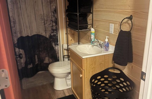 Freeman Cabin | The Black Bear