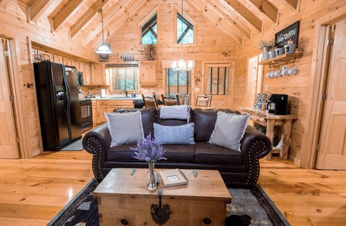 Ellijay Cabin | The Blissful Bear Cabin Creekside treehouse w/fireplace STR Host Lic #: 002252