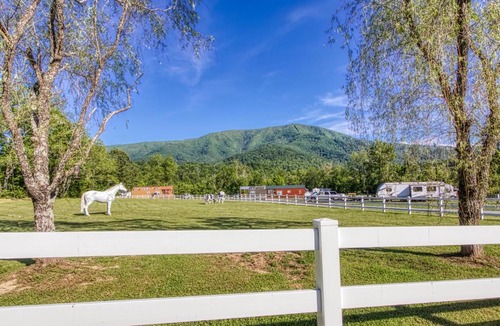 Sevierville House | The Happy Shack cottage