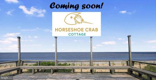 Little Creek House | The Horseshoe Crab Cottage at Pickering Beach in Dover, DE