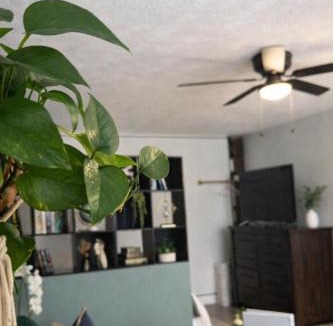 Decatur Apartment | The Quiet Garden Studio - Decatur- Free Parking