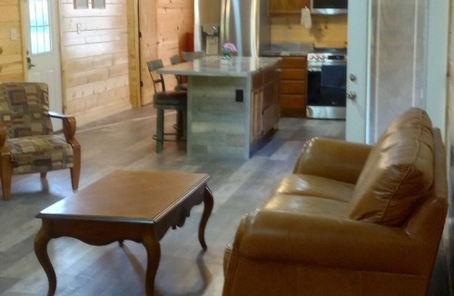 Mammoth Spring House | The River Cabin, At Saddler Falls on Spring River with AC. Sleeps 12+